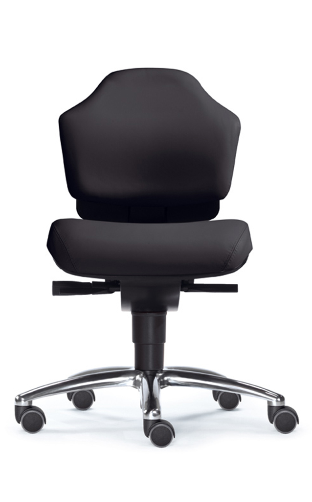 Earth S - Feng Shui Gesundheits-Bürostuhl