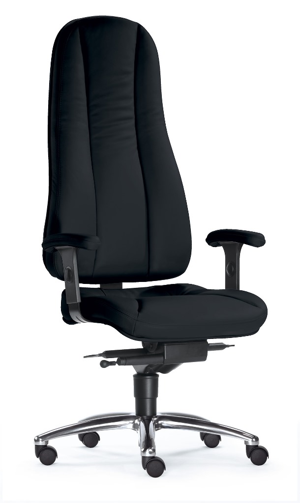 Dynamik Hochlehner - Home Office Chefsessel