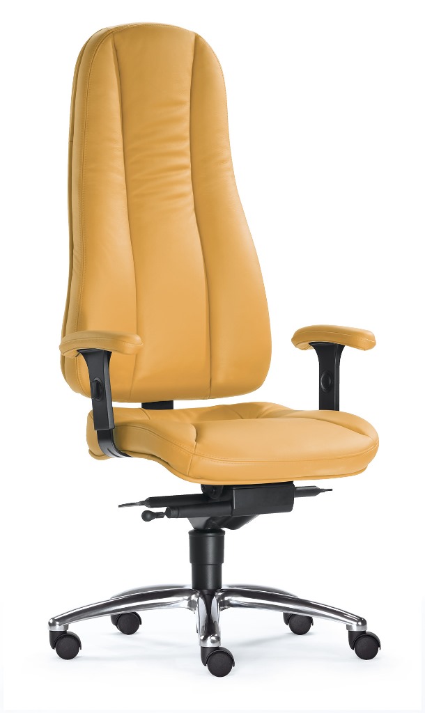 Dynamik Hochlehner - Home Office Chefsessel