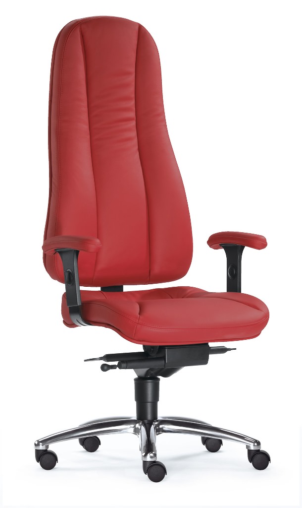 Dynamik Hochlehner - Home Office Chefsessel